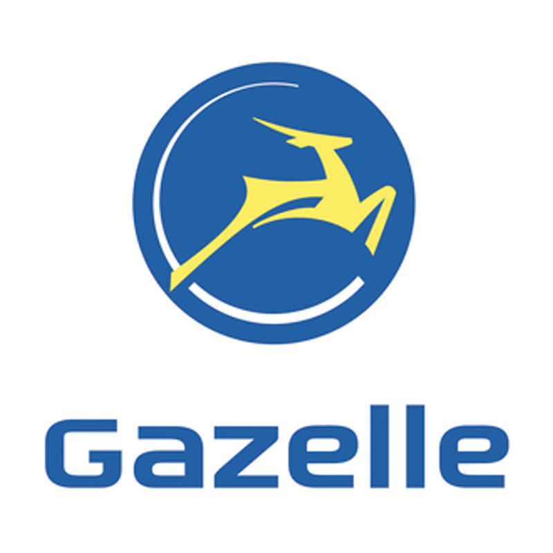 gazelle